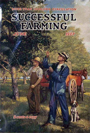 successful farming
